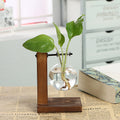 Vase Bouteille Verre Cadre Bois Transparent - Déco Bureau - Simple