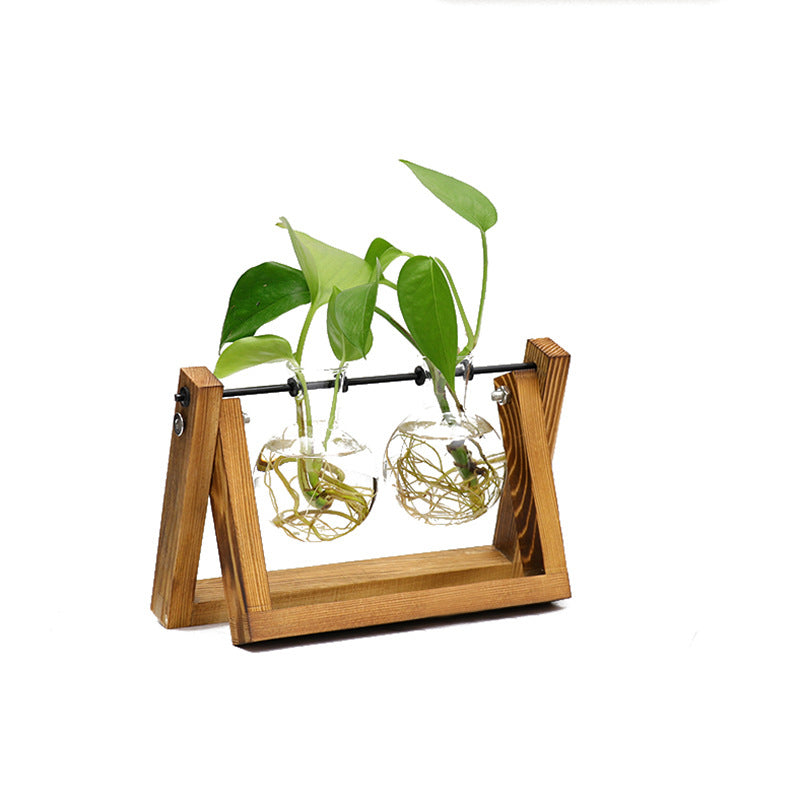 Vase Cadre Bois Transparent Plante - Ornement Bureau - Contenant